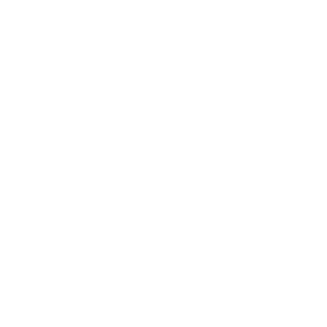 AIG Insurance Logo