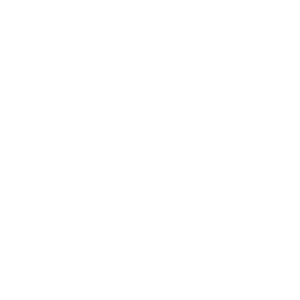 Aviva Insurance Logo