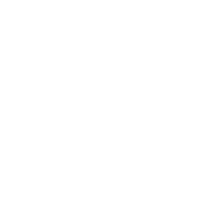Davies Group Insurance Logo
