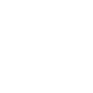 Ornelia Insurance Logo
